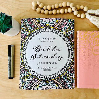 Chapter by Chapter Bible Study Journal & Coloring Book