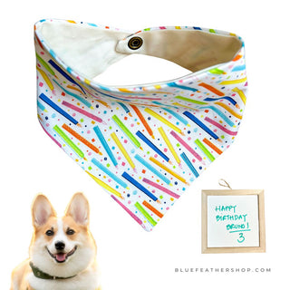 Premium Dog Bandana + FREE White Board! Dog Birthday Party