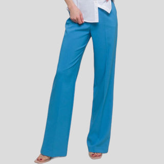 Darcy Elastic Back Waistband Wide Leg Slacks