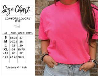 Reputation | Comfort Colors | Taylor Inspired | Concert Tee