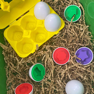 Toddler Egg Shape and Color Sorter
